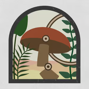 Shape Fold Nature